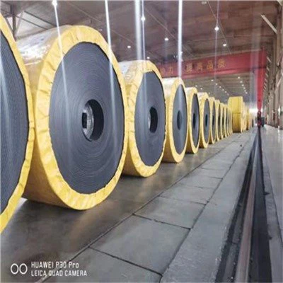 Stahlseil-Förderband mit DIN22131